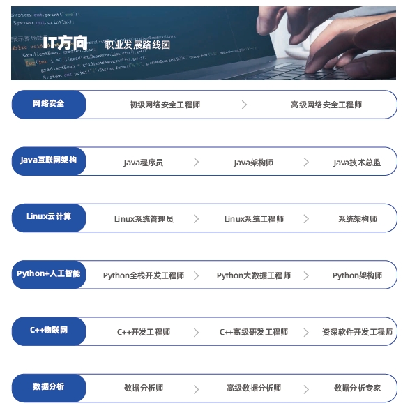 達(dá)內(nèi)IT學(xué)院所開設(shè)的課程